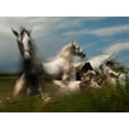 thumbnail image 2 of Malovrh, Milan 32x25 White Modern Wood Framed Museum Art Print Titled - Play ground, 2 of 4