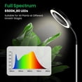 thumbnail image 4 of Grow Lights for Indoor Plants Full Spectrum ;; Plant Light with Gooseneck Colors Modes and Dimmable Levels Timer LEDs Height Adjustable Grow Lamp for L, 4 of 7
