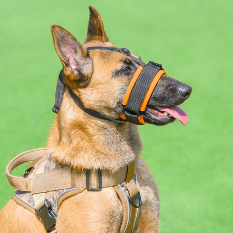 German shepherd mouth guard cheap