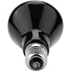 thumbnail image 4 of 1 lámpara de calefacción, cerámica sólida, emisor de calor infrarrojo, lámpara de dispersión de calor, accesorio calienta lámparas para reptiles anfibios 110-130 V (75 W-negro) Sincero Electrónica, 4 of 5