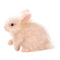 thumbnail image 4 of Muñeco de conejo renacido, muñeco de animal, juguete cómodo, figura de conejo, juguete de simulación sensorial, juguete de conejo de silicona para, 4 of 9