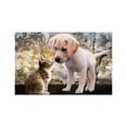 thumbnail image 3 of Paquete de 6 premios treats nupec 180 gr, 3 of 3