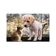 thumbnail image 3 of Paquete de 6 premios treats nupec 180 gr, 3 of 3