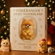 thumbnail image 1 of Pomeranian Advent Calendar 2025, 24 Days Dog Ornaments, Acrylic Cute Canine Treats Toys, Celebrate Christmas Countdown Gift, Festive Surprises Dog Decor, Christmas Dog Gift, For Bedroom Home, 1 of 3