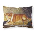 thumbnail image 1 of ""Caroline'S Treasures Mh1052Pillowcase Chihuahua I See Me Funda De Almohada Estándar Grande Multicolor"", 1 of 1