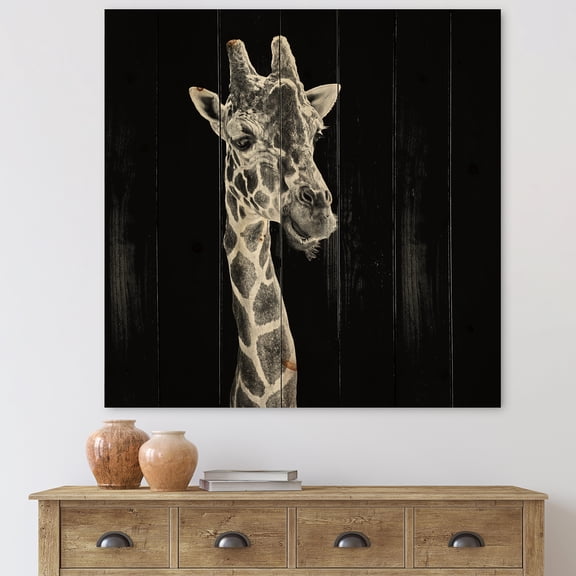 Designart 'Close Up Portrait Of A Giraffe On Black II' Farmhouse Print on Natural Pine Wood