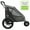 Green, variant on Breeze Pet Jogger