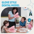 thumbnail image 4 of Mouth Puppet with Tongue Teeth Mouth Hand Puppet Dental Mouth Model, 4 of 4