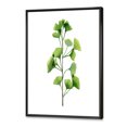thumbnail image 3 of Designart 'Green Field Plant Foliage Branch' Farmhouse Framed Canvas Wall Art Print, 3 of 5