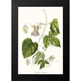 thumbnail image 2 of Unknown 13x18 Black Modern Framed Museum Art Print Titled - Passion Flower Trio I, 2 of 5