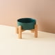 thumbnail image 1 of Cuencos elevados de altura verde para perros y gatos, cuencos de cerámica para perros y gatos con soporte de madera de bambú, 1 of 5