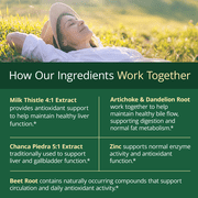 Liver Support with Milk Thistle, Chicory, Artichoke, Dandelion Root & Zinc - Herbal Liver Detox & Cleanse Support – Vegan Liver Supplement – 60 Count