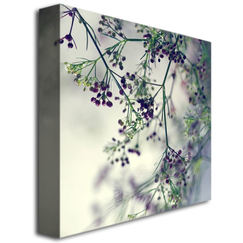 Trademark Fine Art Young 'Supercalifragilistic' Canvas Art by Beata Czyzowska