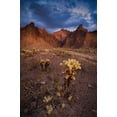 thumbnail image 2 of Jaynes Gallery 11x14 White Modern Wood Framed Museum Art Print Titled - USA-Arizona-Kofa National Wildlife Area-Mountain and desert landscape, 2 of 4