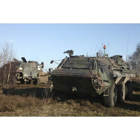 - A TPz Fuchs armored personnel carrier of the German Army Canvas Art - Timm ZiegenthalerStocktrek Images (18 x 12)