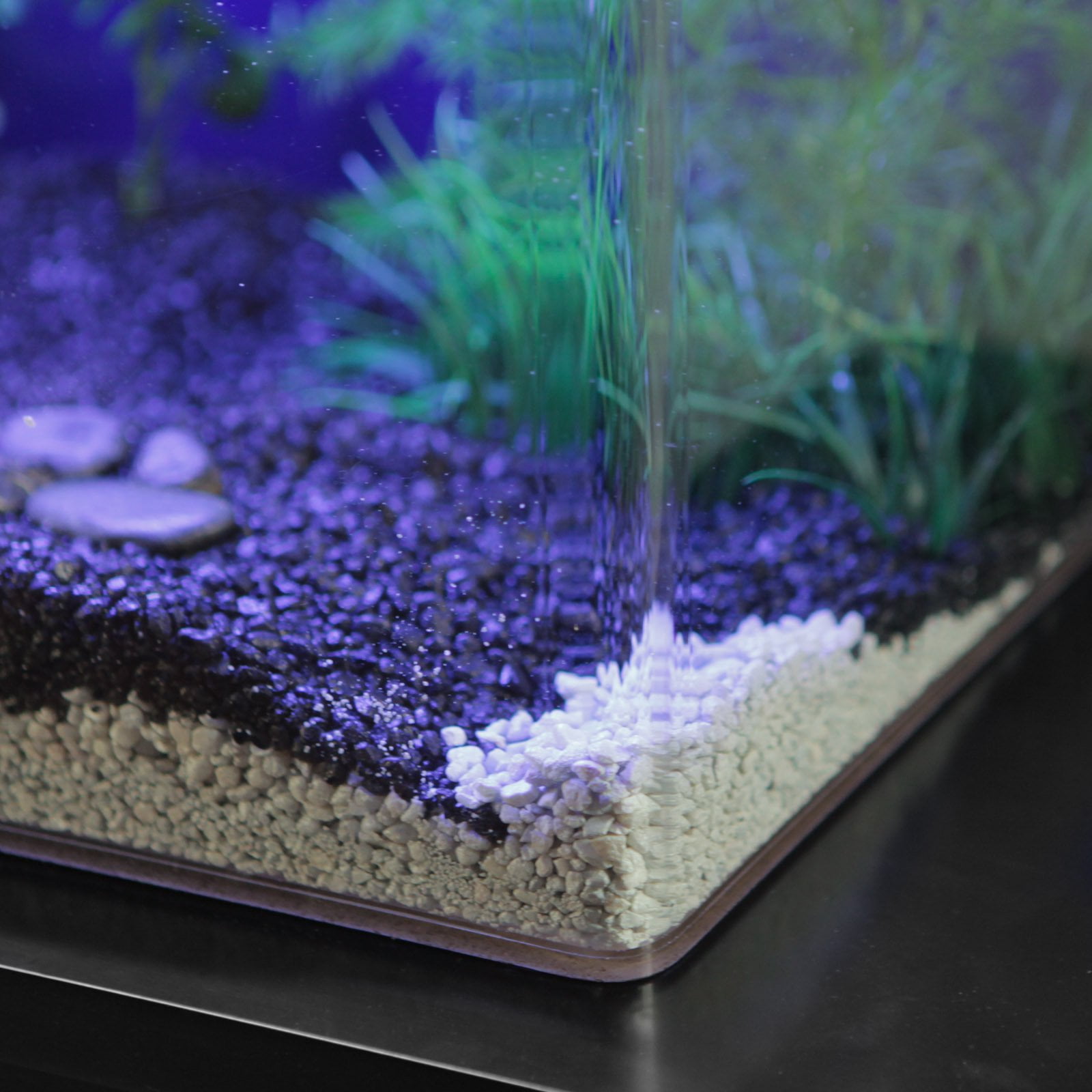 Clear For Life 65r Rectangle Acrylic Aquarium Shire Blue Back Life 65r Rectangle Acrylic Aquarium