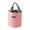 Pink, variant on Wovilon Lunch Bag Lunch Box For Women Men Reusable Insulated Lunch Tote Bag,Leakproof Thermal Cooler Sack Food Handbags Case High Capacity Fortravel Work School Picnic