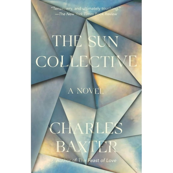 Vintage Contemporaries: The Sun Collective : A Novel (Paperback)