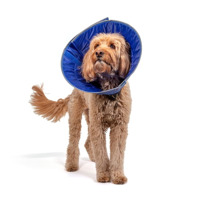 Calm Paws Basics Adjustable Soft e-Collar, Large photo 1