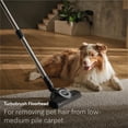 thumbnail image 4 of Aspiradora Miele Guard M1 para Mascotas con Bolsa, Motor de 1200W, 4 of 9