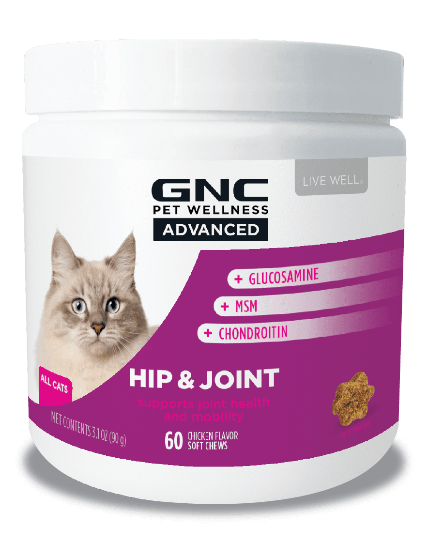 gnc pets hip & joint health