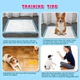 thumbnail image 3 of KAPAS 150 Count Small ( S 17" X 24") Super Absorbent Dog and Puppy Training Pads, Pet Diaper Pee Pads For Small-Sized Dogs Like Bulldog, Chow Chow, Border, Collie, Husky And So On, 3 of 6