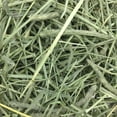 thumbnail image 3 of Oxbow Pet Products Western Timothy Hay Small Animal Food, 40 oz., 3 of 7