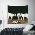thumbnail image 4 of Bingfone Polyester Fabric Tapestry Cute Goat Baby Wall Hanging Tapestry,Daily Decorative Tapestry For Bedroom Living Room Dorm 60l X 51w Inches, 4 of 9