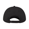 thumbnail image 2 of TOPTIE Unisex Cotton 5 Panel Snapback Trucker Cap, 2 of 8