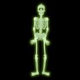 thumbnail image 2 of Glow in the Dark Plastic Skeleton - 3 Ft, 2 of 5