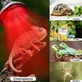 thumbnail image 3 of 2Pieces Heat Bulbs for Piglets Livestock and Reptiles Enclosures, 3 of 17