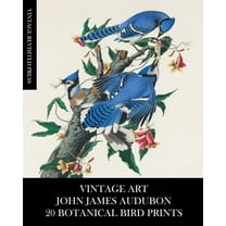 Vintage Art: John James Audubon: 20 Botanical Bird Prints, (Paperback)
