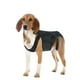 thumbnail image 5 of Pet Dog Back Brace Back Support Wrap Arnés de cuerpo completo Ajustable Cómodo M 6kg a 10kg Zulema Soporte en la espalda, 5 of 7