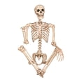thumbnail image 3 of Crazy Bonez Squelette de Pose-N-Stay, 3 of 4