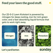 Sunday Lawn Kickstart Ready-to-spray Liquid Lawn Fertilizer 42.3 oz, (22-0-2), 5000 sq. ft.