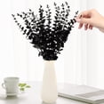 thumbnail image 3 of ELAYARD 20Pcs Simulation Eucalyptus Stems Black Faux Plant Ornaments for Elegant Vase Decoration, 3 of 5