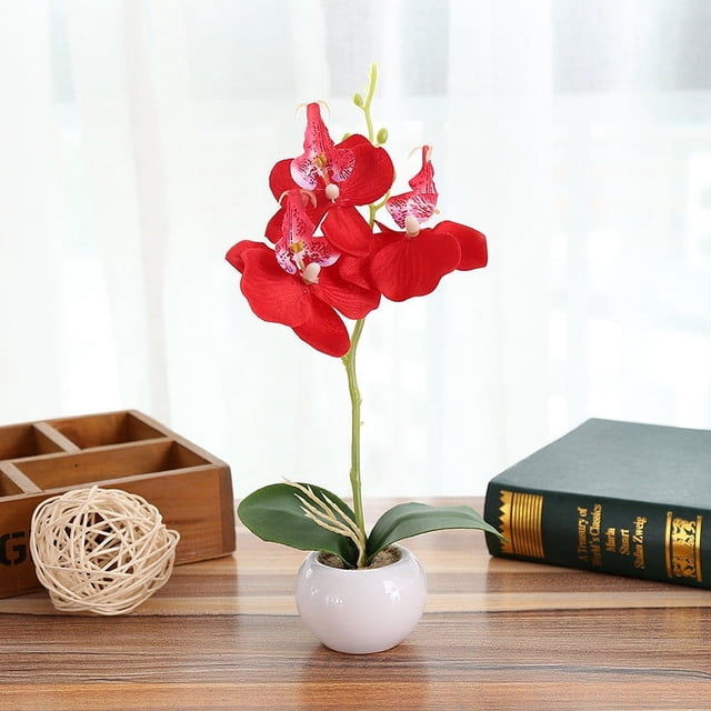 Bonsaï d'Orchidée Élégant pour la Maison et
