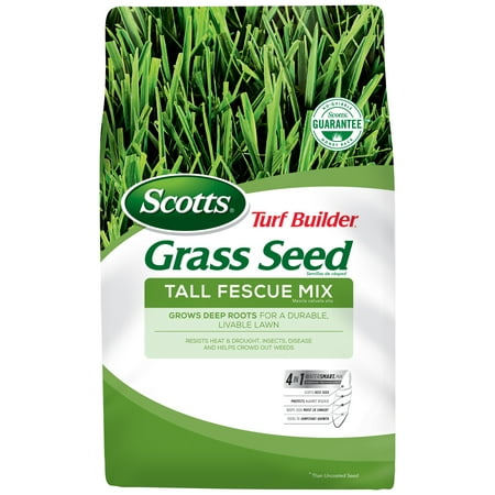Scotts Turf Builder Grass Seed Tall Fescue Mix, 7 (Best Fertilizer For Centipede Grass)