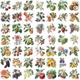 thumbnail image 2 of Paquete de pegatinas botánicas para frutas y verduras, 50 unidades, transparentes, 2 of 2