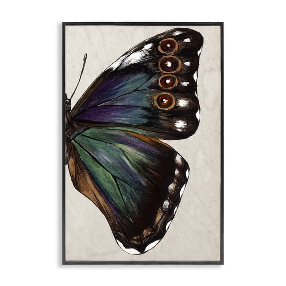 Stupell Industries Transitional Classic Butterfly Wing Black Framed Giclee Art, 12 x 18, by Melissa Wang