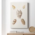 thumbnail image 6 of Pastel Knorr Shells VI Premium Gallery Wrapped Canvas - Ready to Hang, 6 of 9