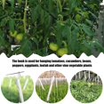 thumbnail image 3 of 10pcs Tomato Support Hooks Plant Climbing Hooks, 3 of 5