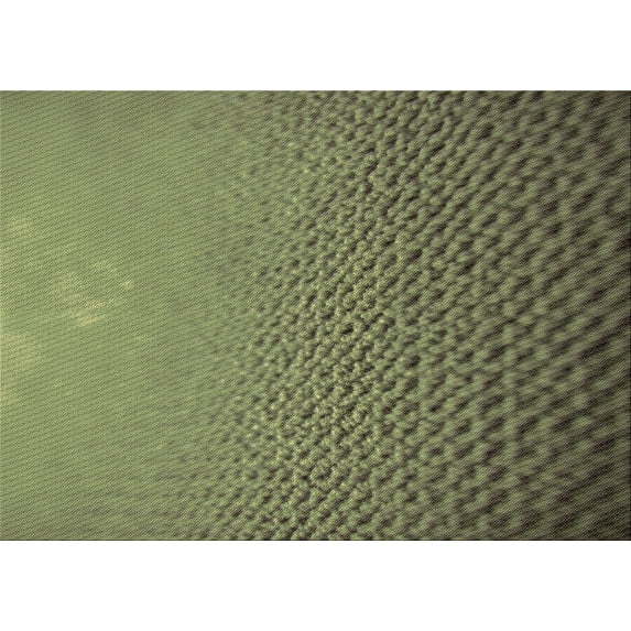 Ahgly Company Indoor Rectangle Patterned Brass Green Area Rugs, 5' x 7'