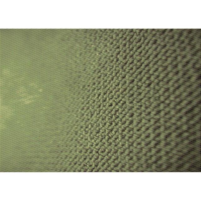Ahgly Company Tapis Rectangulaire d'Intérieur Lavable en Machine Transitionnel en Laiton Vert, 2 Pieds x 4 Pieds