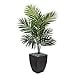 thumbnail image 3 of Nearly Natural 5821 4.5 ft. Kentia Palm Artificial Tree in Black Wash Planter, 3 of 4