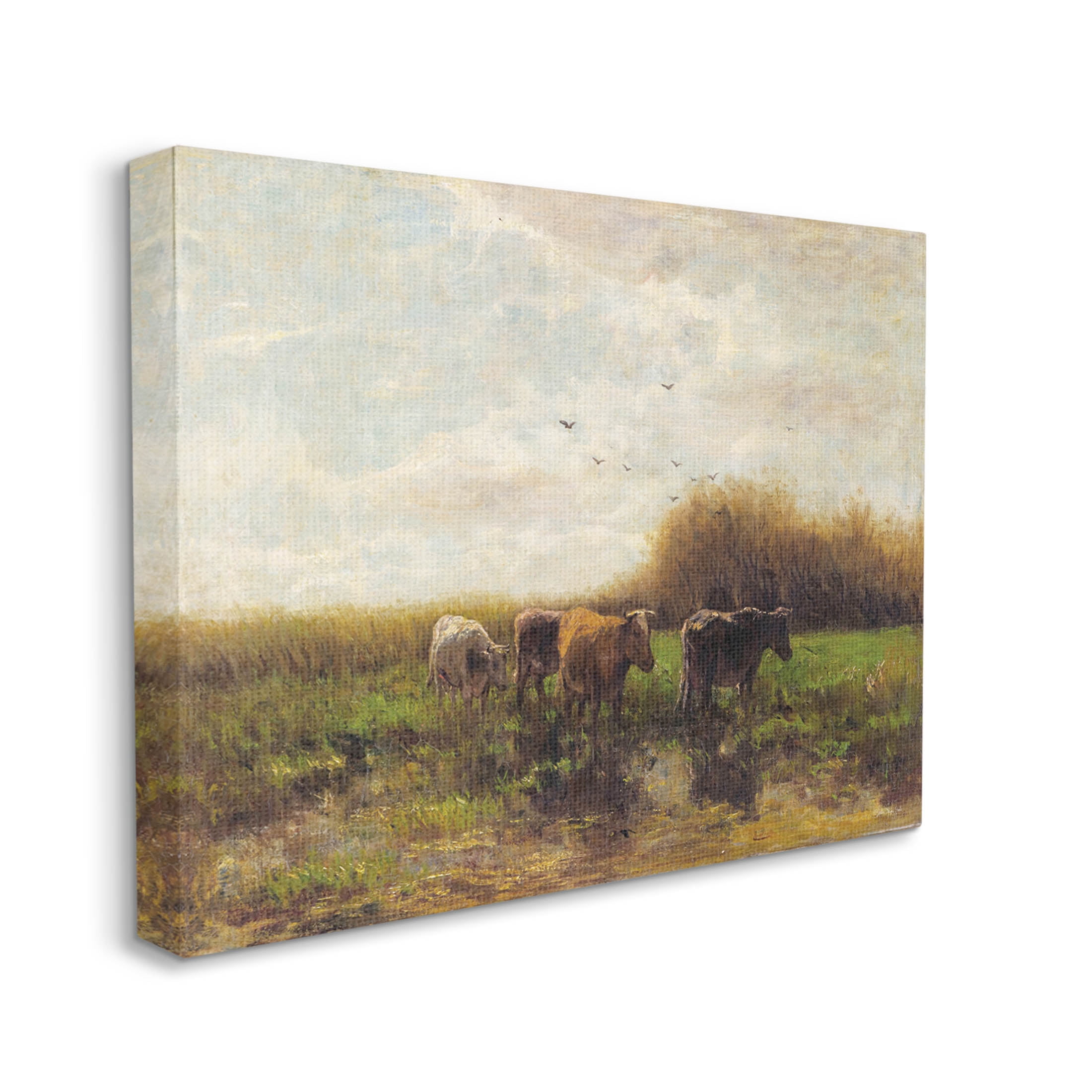 Cattle Stepping Rural Scenery Animals & Insects Graphic Art Gallery Wrapped Canvas Print Wall Art