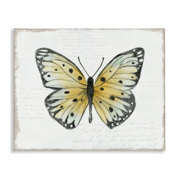 Stupell Industries Beautiful Butterfly on White Animals Painting Wrapped Canvas Art Print Wall Art, 20 x 16
