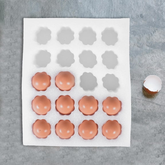 SEWCHICS 1 Set Egg Carton for Chicken Eggs with Shock Resistance for Homes