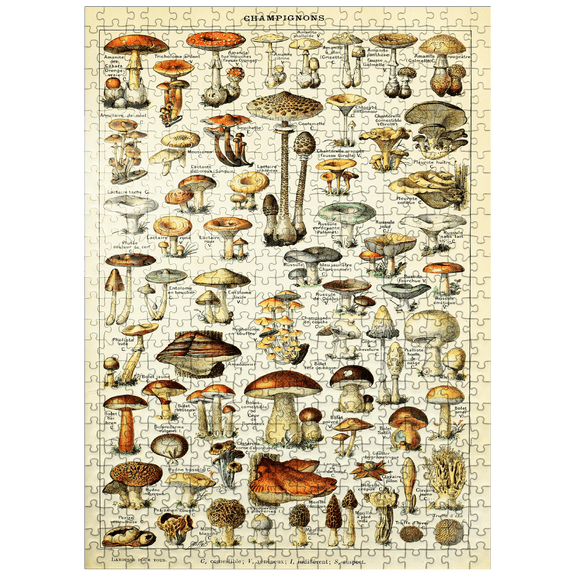 MyPuzzle - Champignons - Mushrooms For All, Vintage Art Poster, Adolphe Millot - Premium 500 Piece Jigsaw Puzzle for Adults