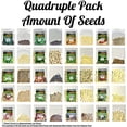 thumbnail image 3 of Over 20,000 Seeds!! Set of 20 Individual Vegetable, Herb & Melon Seed Packs Perfect for Planting A Deluxe Home/Survival Garden Indoor/Outdoor. Heirloom-100% Non-GMO!, 3 of 3